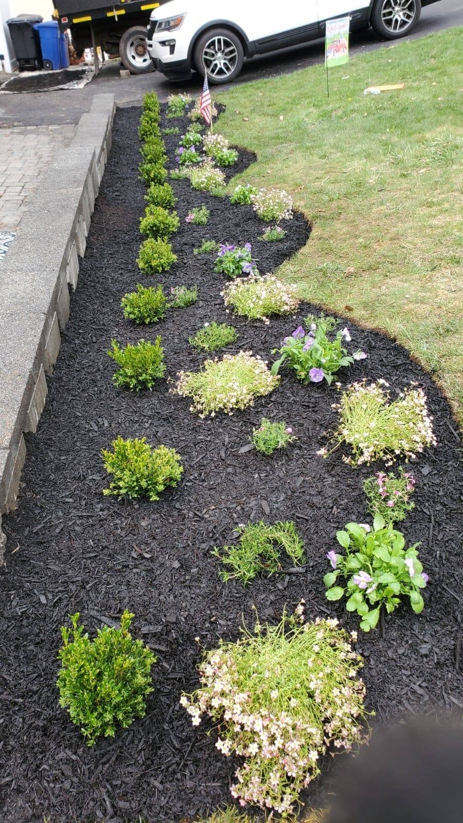 Lush garden bed with diverse plants and mulch for a natural, aesthetic look.