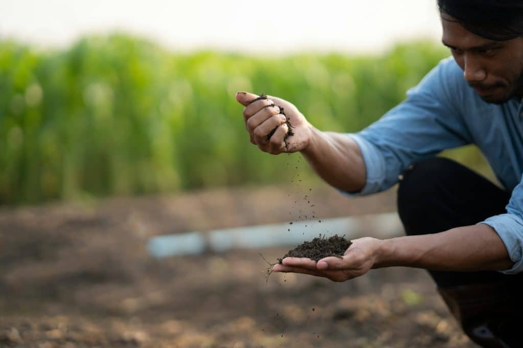 Close up view of farm owner examining soil in the field. to determine the types of turf and test the soil during the process