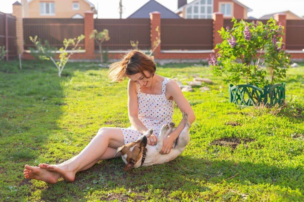 Laughing positive young woman in dress plays with her beloved restless dog sitting in the yard of a