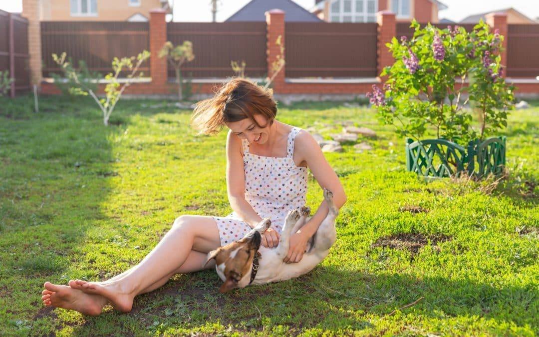 Preventing Fleas in Pets and your Yard: Secrets from the Experts