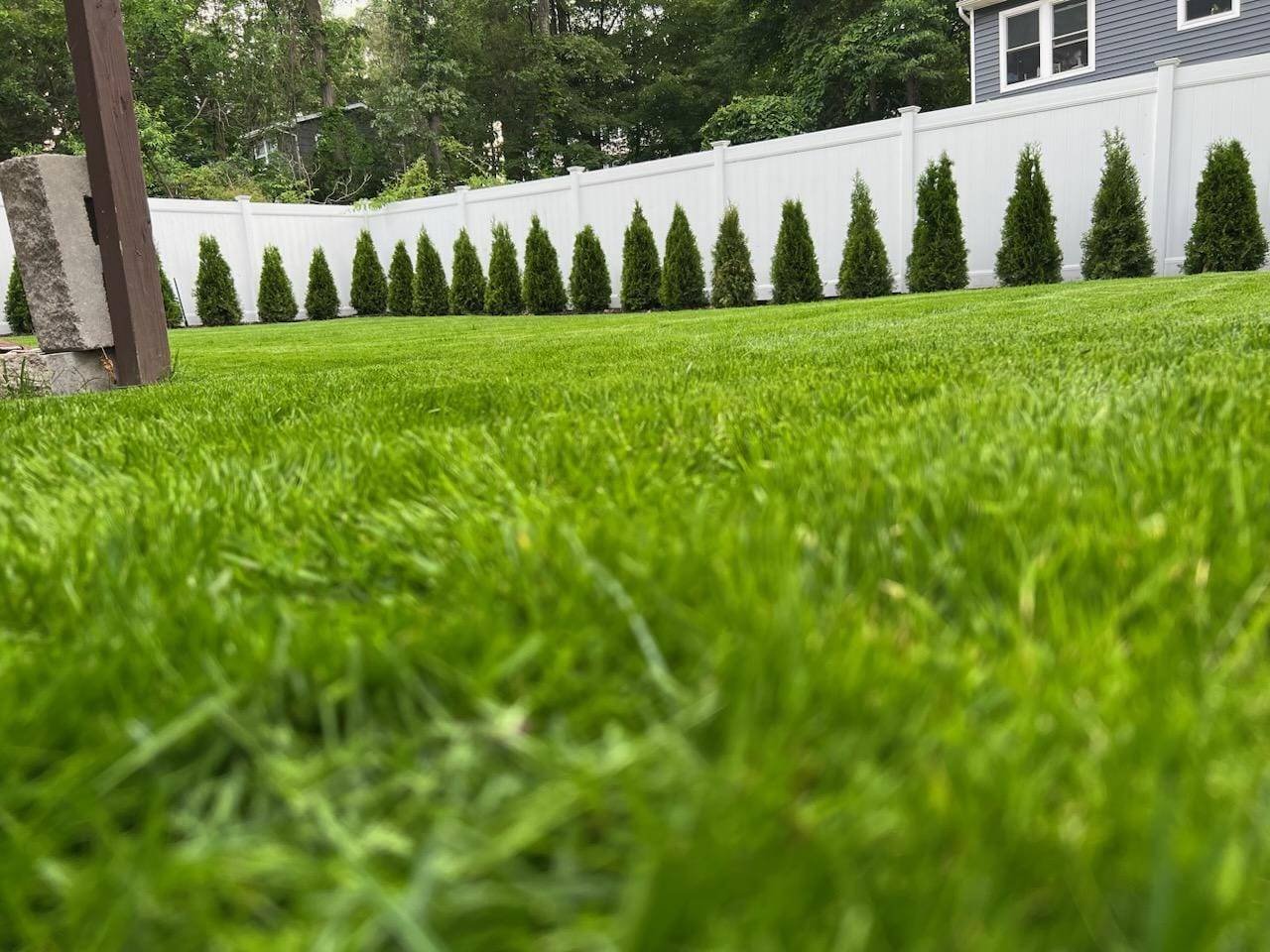 Serene suburban garden with lush lawn, trimmed shrubs, white fence, and house.