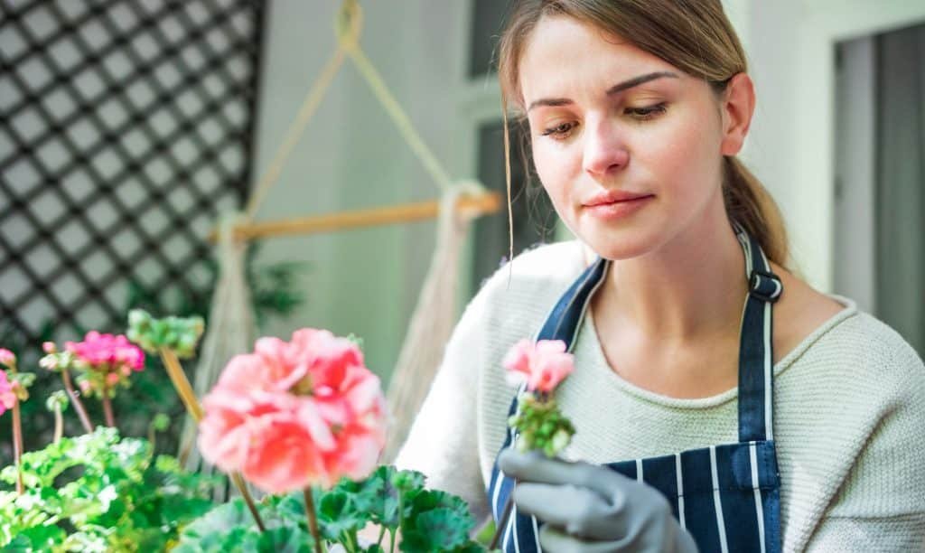 Woman looking at flowers on balcony checking for pests and diseases