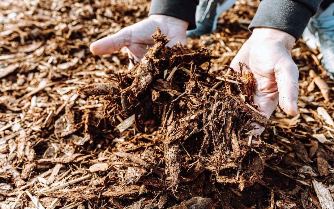 Revitalize Your NJ Property: An Expert Guide on Sustainable Landscaping